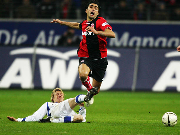 经建立了深 经建立了深